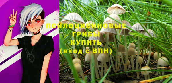 гашиш Медногорск