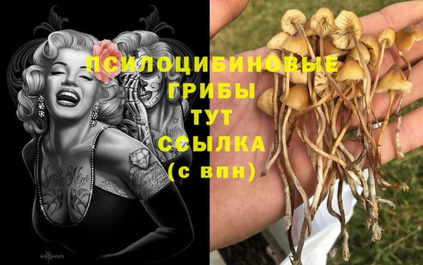 герыч Мегион