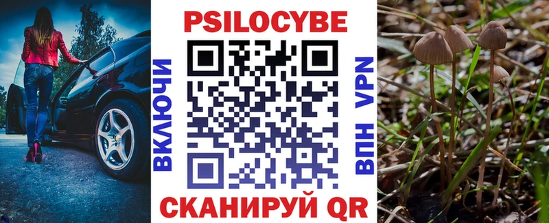 купить наркотики сайты  Называевск  Галлюциногенные грибы Magic Shrooms 